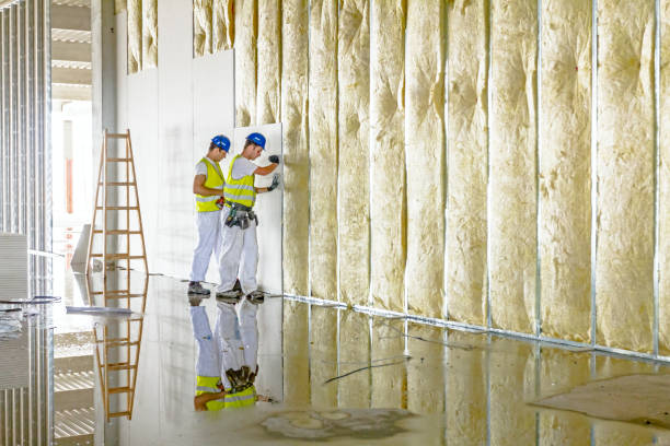 Best Insulation Installation Services in Altamont, TN